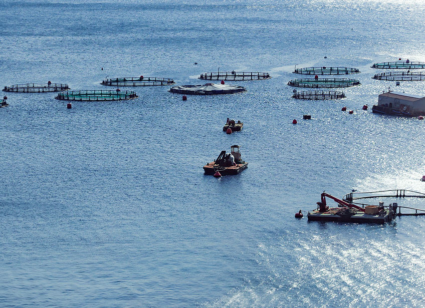 Offshore aquaculture pens